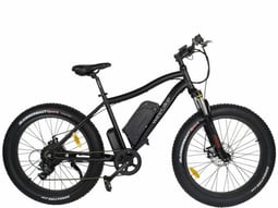 VTT electrique Wayscral Anyway E200 circulerpropre.fr