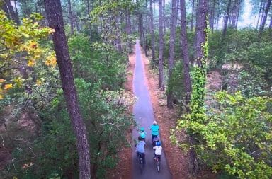 balade à vélo en forêt