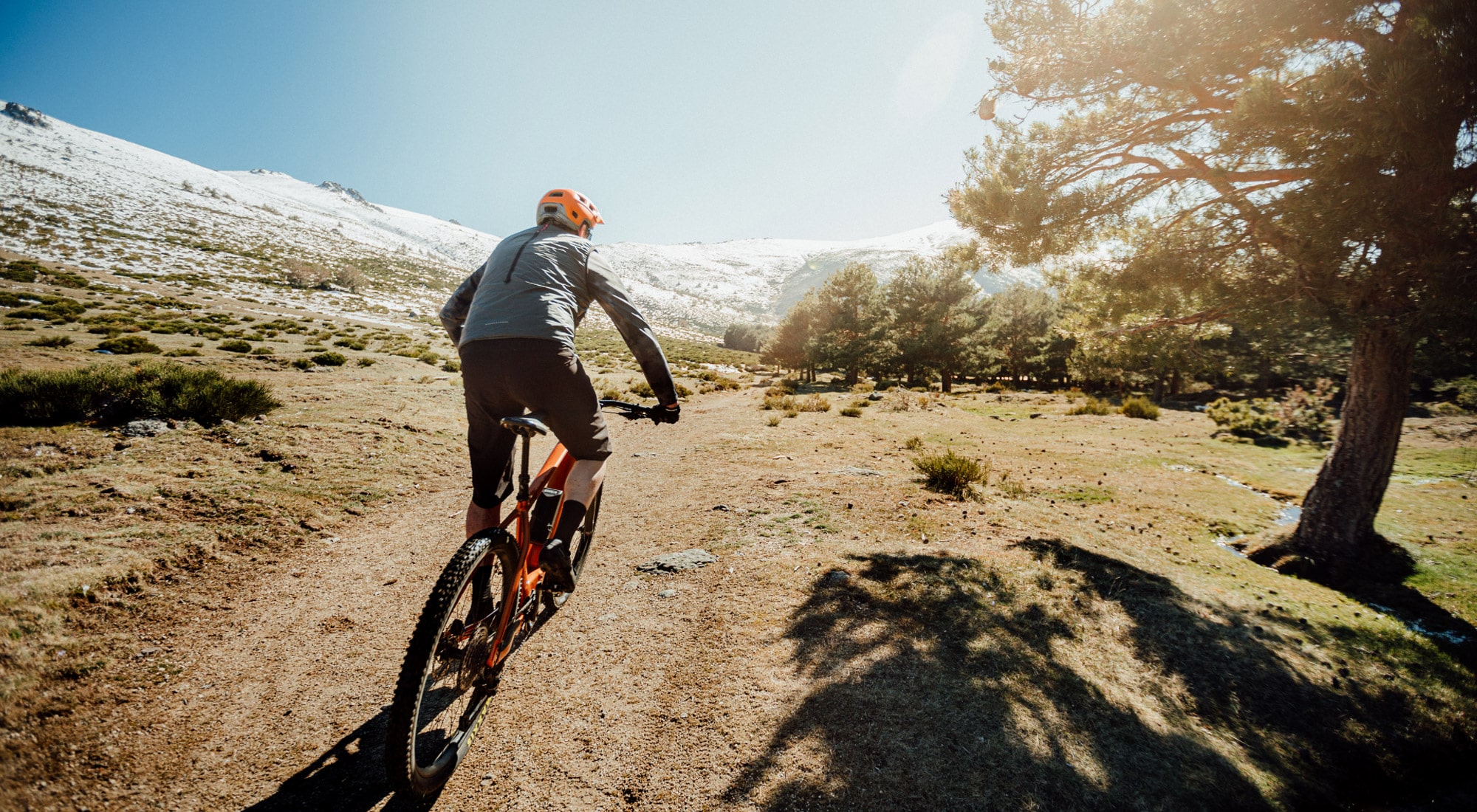 orbea-view