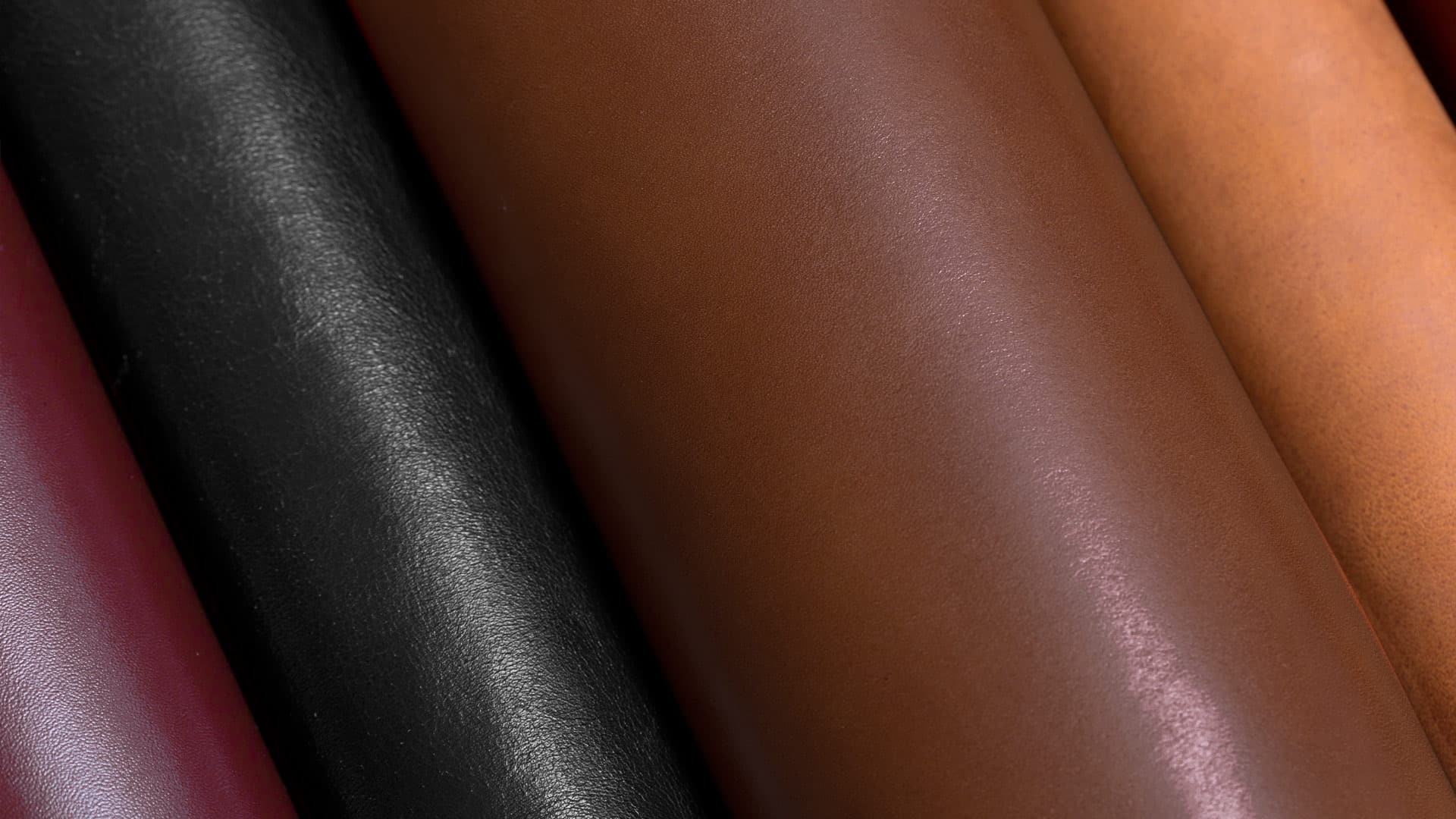 Le cuir, la matière phare des prochaines voitures - circulerpropre.fr