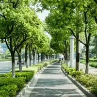 mobilite-verte-en-ville