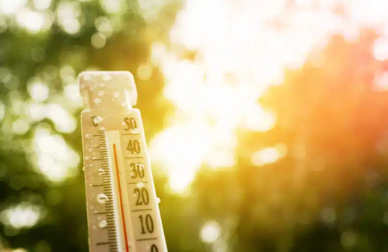 1-des-taxis-inventifs-a-kandahar-la-climatisation-sur-le-toit-contre-la-canicule