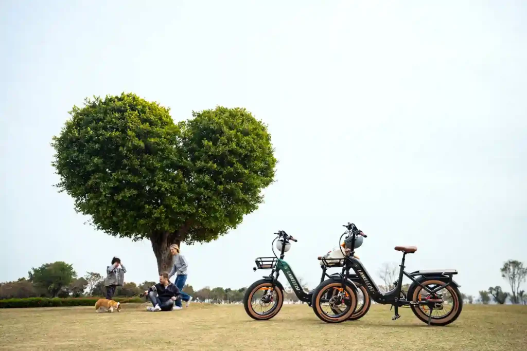 2-vtt-electrique-pliant-autonomie-confort-et-rangement-facile